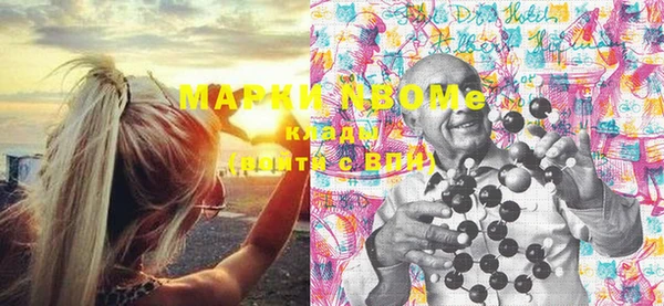 хмурый Надым